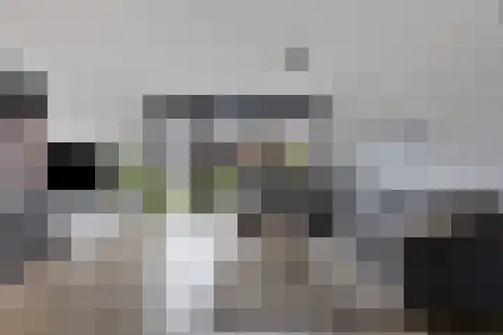 Monseigneur Muskensstraat 36 Elshout thumbnail 11