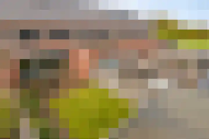 Monseigneur Muskensstraat 36 Elshout thumbnail 32