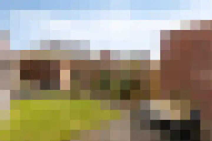 Monseigneur Muskensstraat 36 Elshout thumbnail 37
