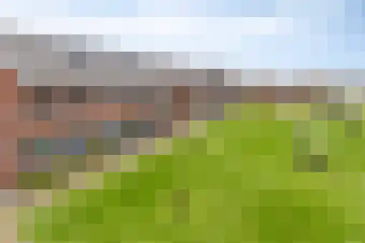 Monseigneur Muskensstraat 36 Elshout thumbnail 4