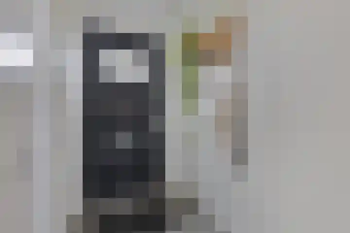 Monseigneur Muskensstraat 36 Elshout thumbnail 8