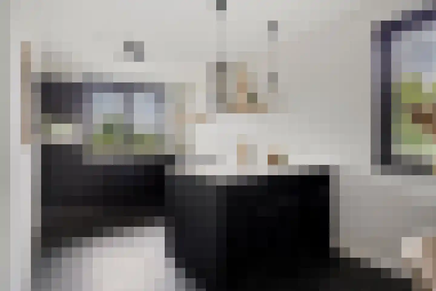 Monseigneur Muskensstraat 42 Elshout thumbnail 17