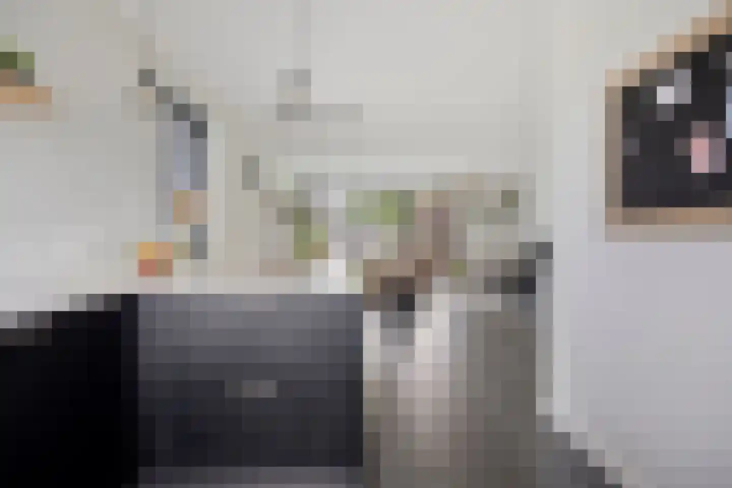 Monseigneur Muskensstraat 42 Elshout thumbnail 20