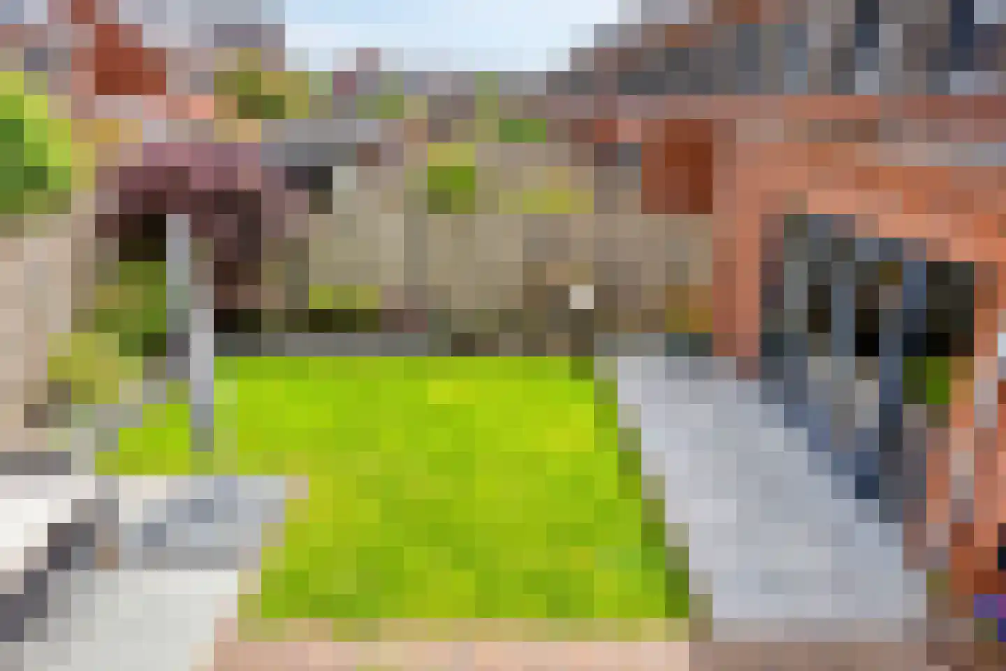 Monseigneur Muskensstraat 42 Elshout thumbnail 37