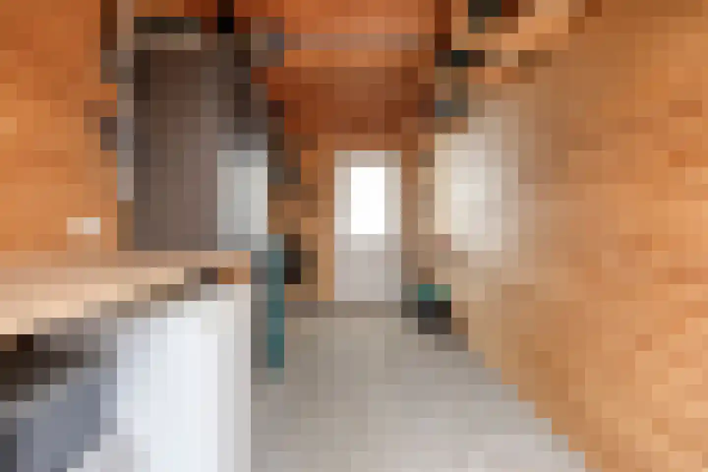 Monseigneur Muskensstraat 42 Elshout thumbnail 40