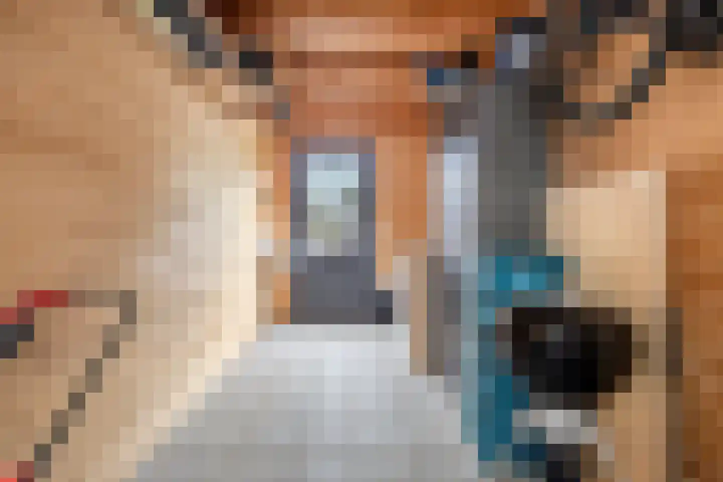 Monseigneur Muskensstraat 42 Elshout thumbnail 41