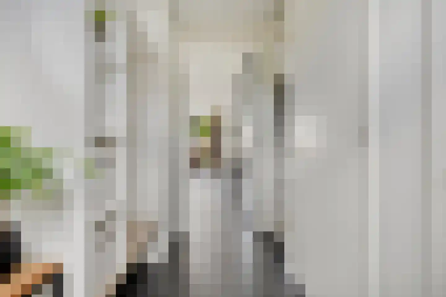 Monseigneur Muskensstraat 42 Elshout thumbnail 9