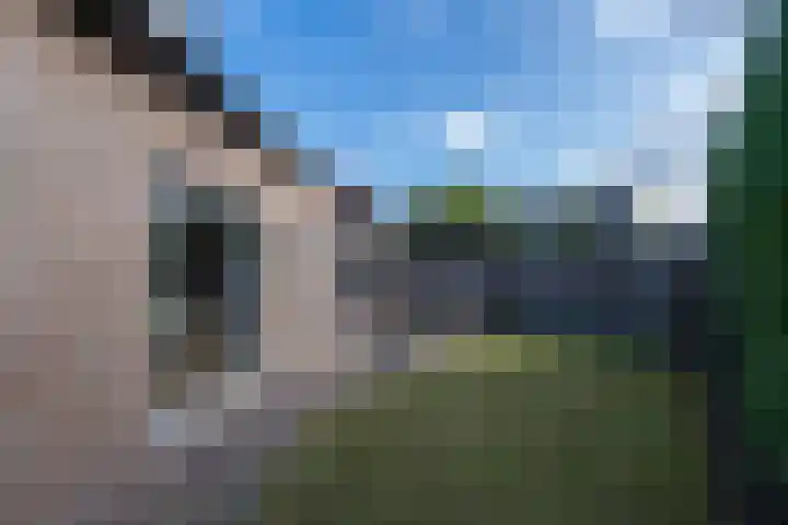 Monseigneur Mutsaertsstraat 10 Berkel-Enschot thumbnail 32