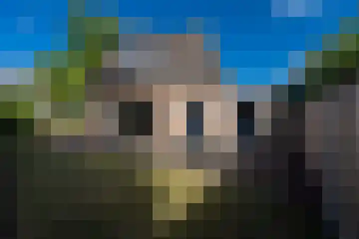 Monseigneur Mutsaertsstraat 10 Berkel-Enschot thumbnail 36