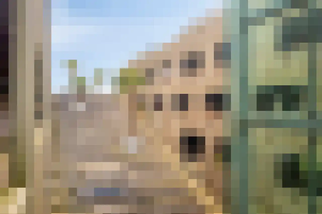 Monseigneur Nolensplein 13 Venlo thumbnail 37