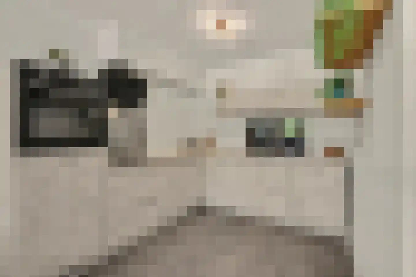 Monseigneur Nolensplein 39 A Venlo thumbnail 6