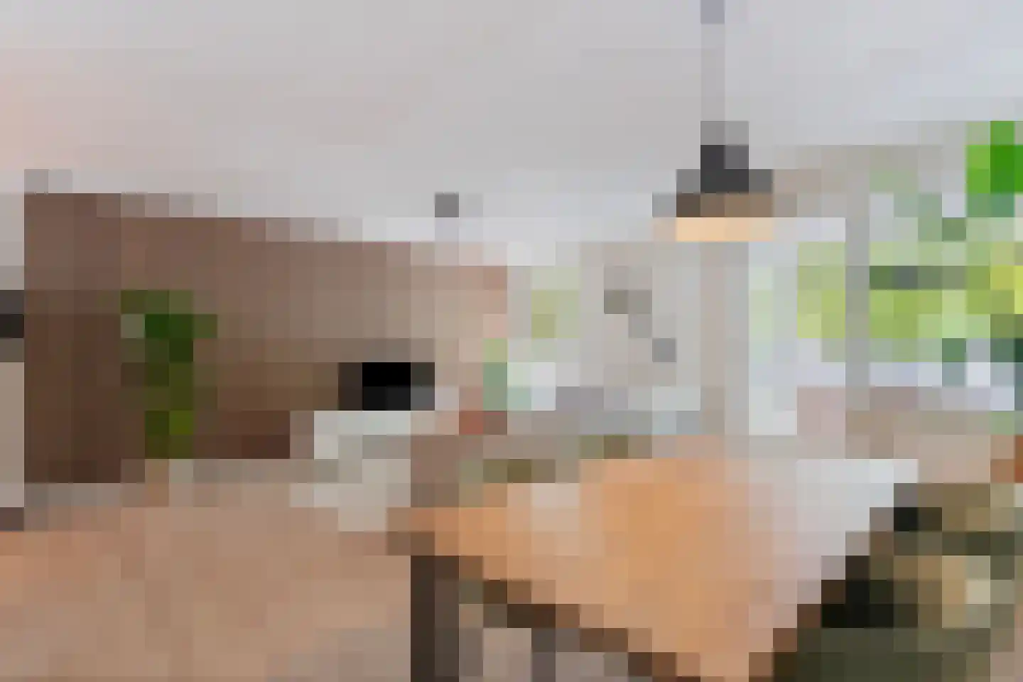 Monseigneur Nolensplein 39 C Venlo thumbnail 6