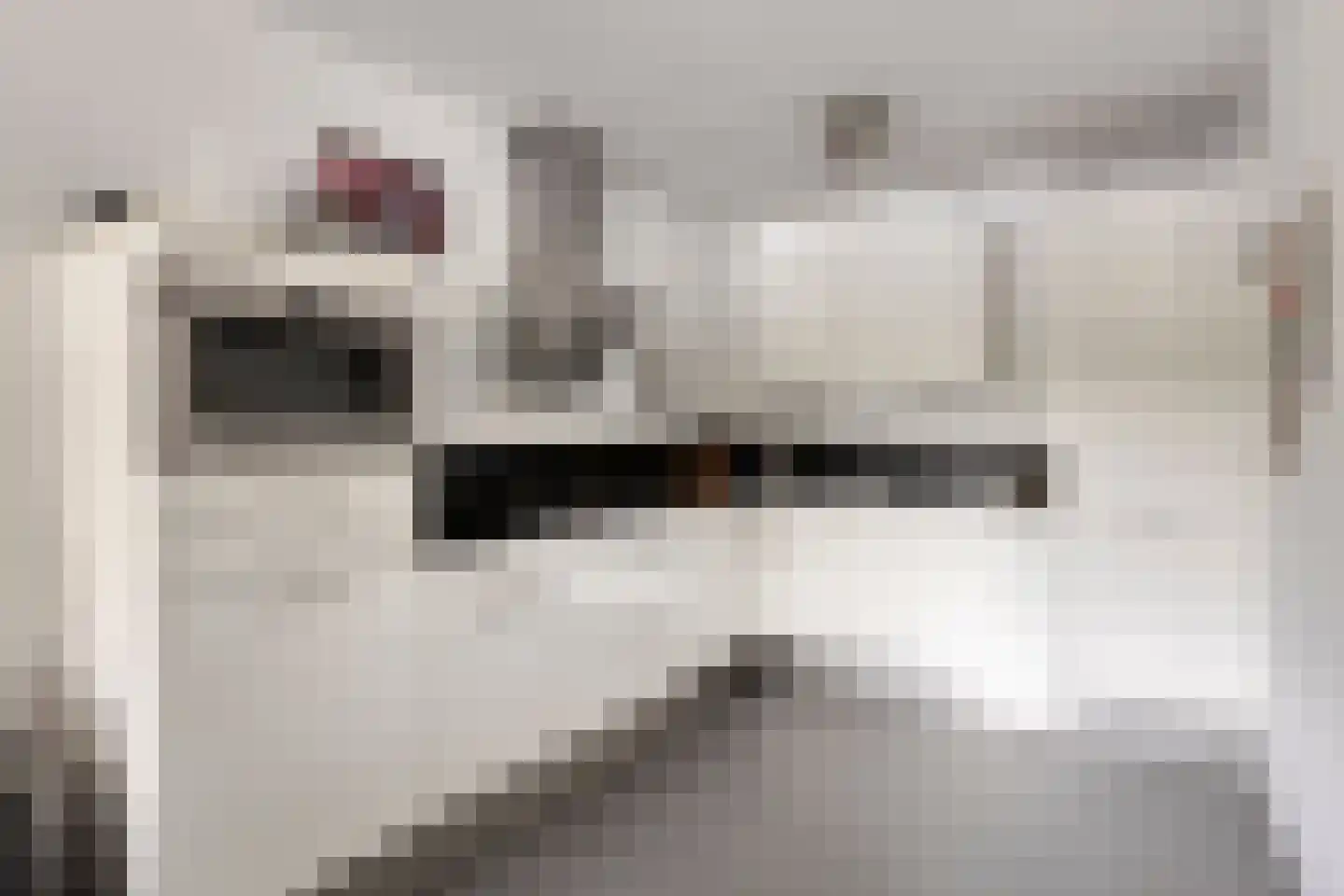 Monseigneur Nolensplein 39 Venlo thumbnail 13