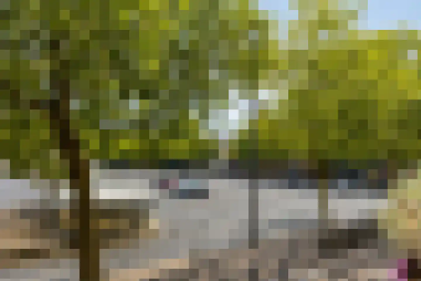 Monseigneur Nolensplein 39 Venlo thumbnail 24