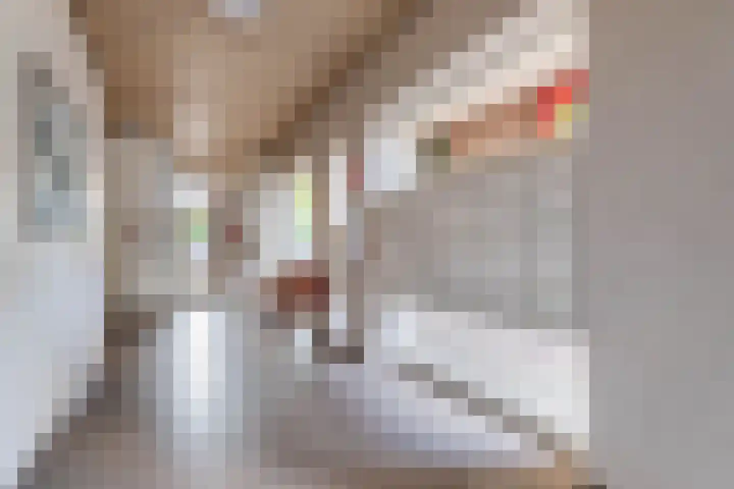 Monseigneur Nolensplein 40 Venlo thumbnail 30