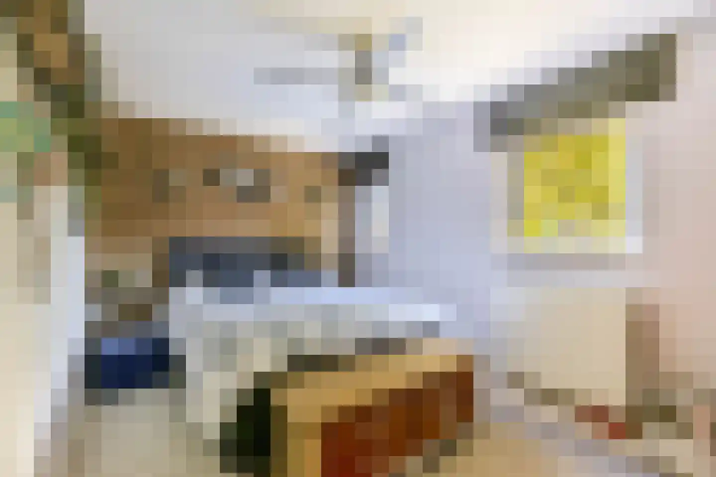 Monseigneur Nolensplein 40 Venlo thumbnail 5