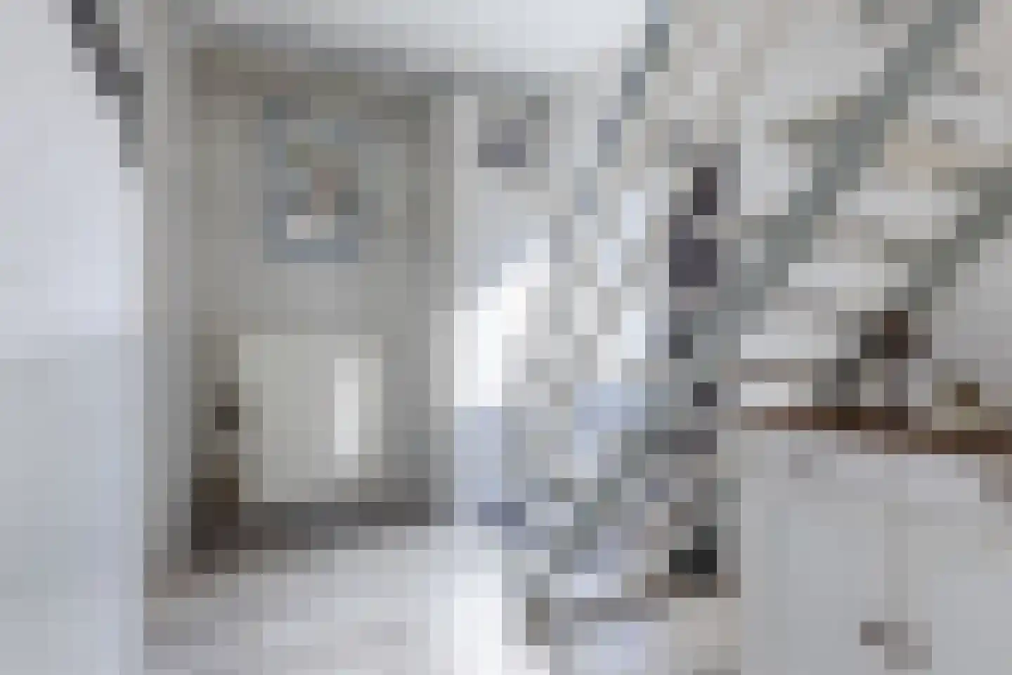 Monseigneur Nolensstraat 53 Rijen thumbnail 5