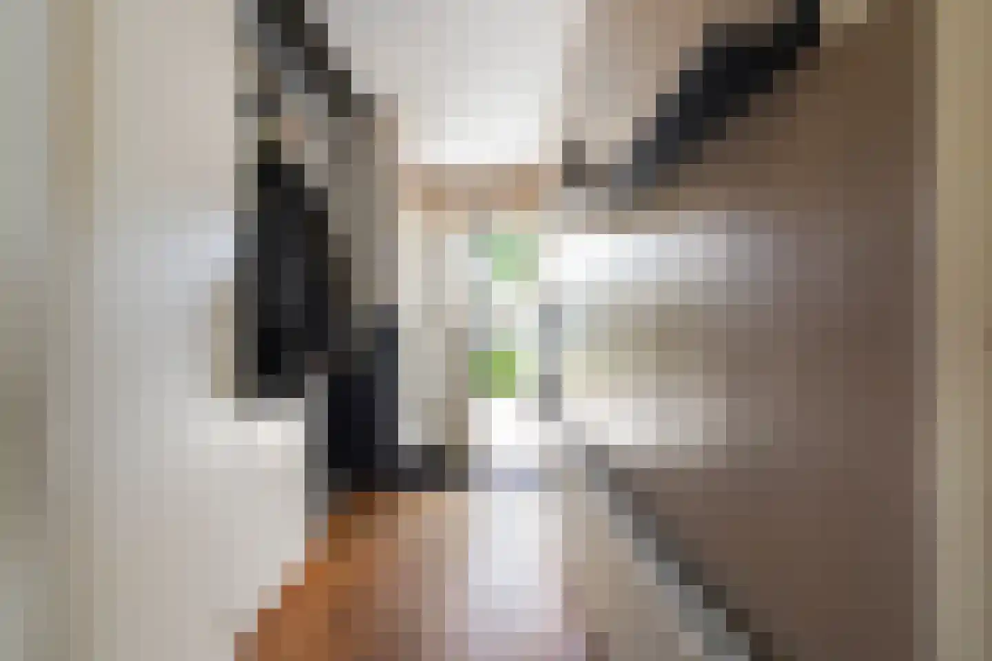 Monseigneur Poelsstraat 20 Berkel-Enschot thumbnail 6