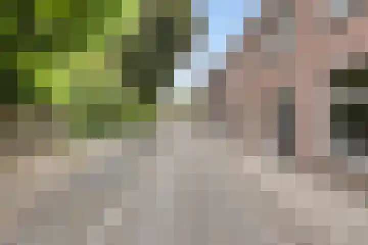 Monseigneur Schrijnenstraat 13 Maastricht thumbnail 34