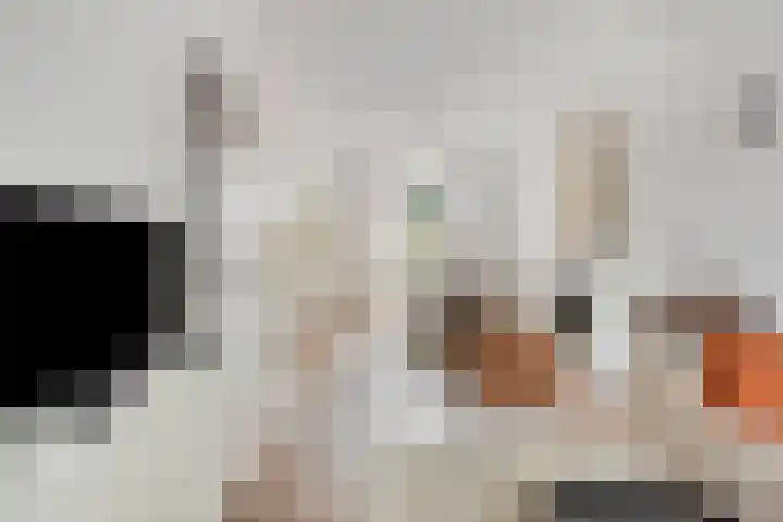 Monseigneur Schrijnenstraat 13 Maastricht thumbnail 7