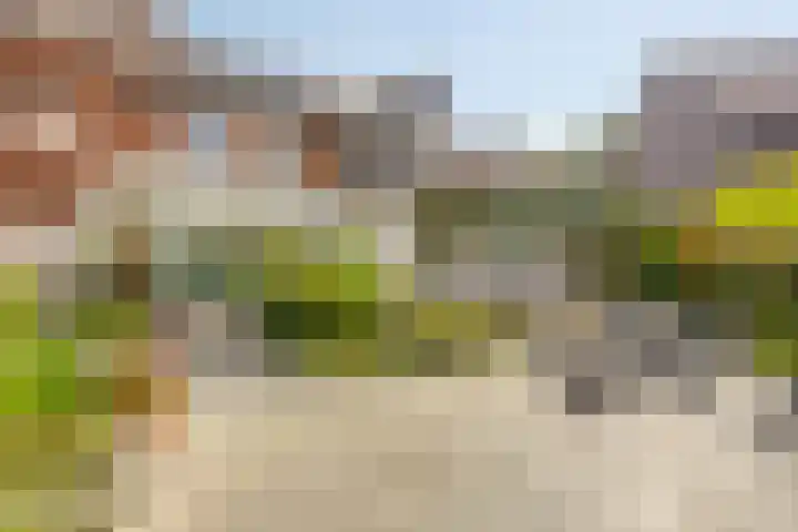 Monseigneur Schrijnenstraat 24 Maastricht thumbnail 34