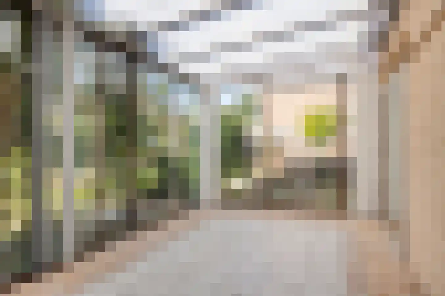 Monseigneur Suijsstraat 11 Reek thumbnail 15