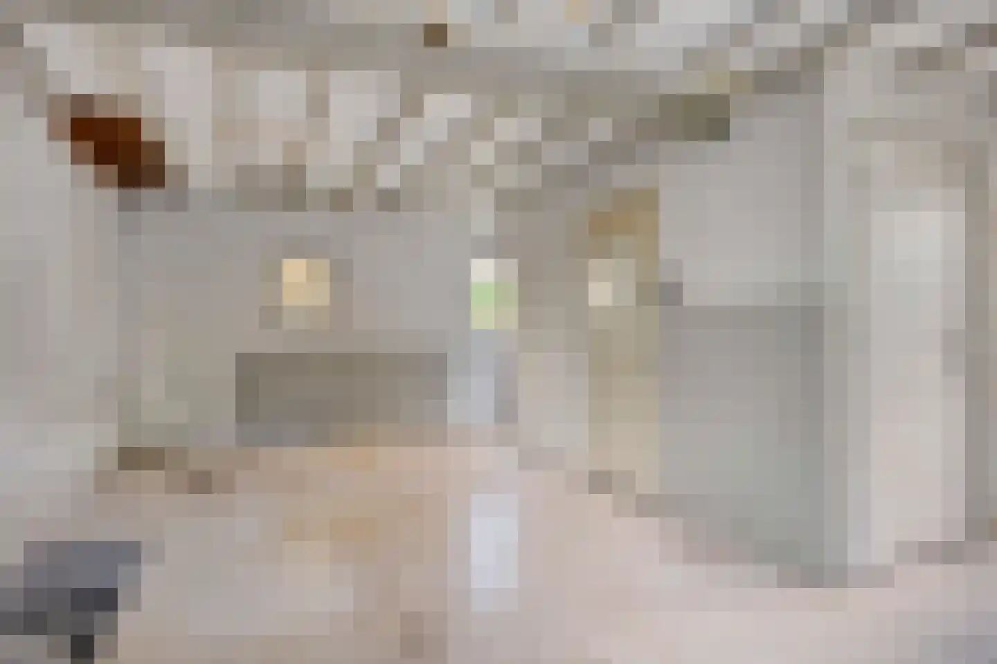 Monseigneur Suijsstraat 11 Reek thumbnail 18