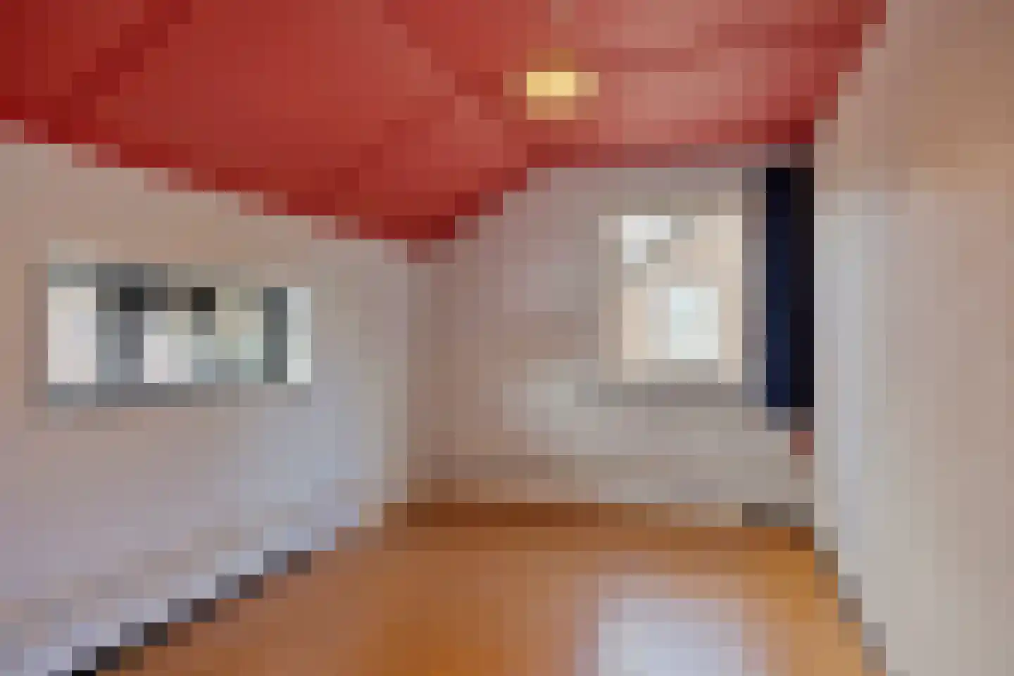 Monseigneur Suijsstraat 11 Reek thumbnail 22