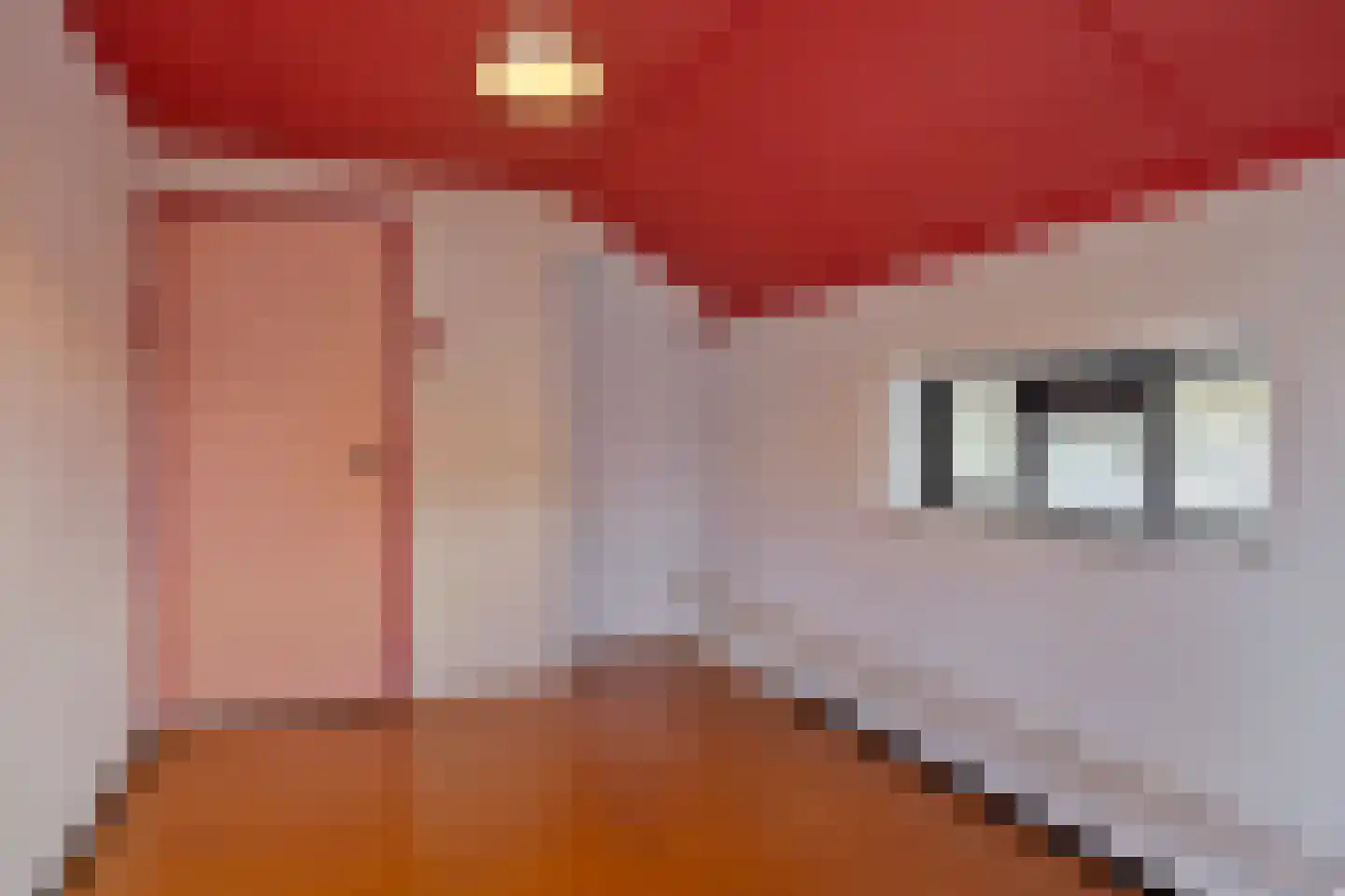 Monseigneur Suijsstraat 11 Reek thumbnail 23