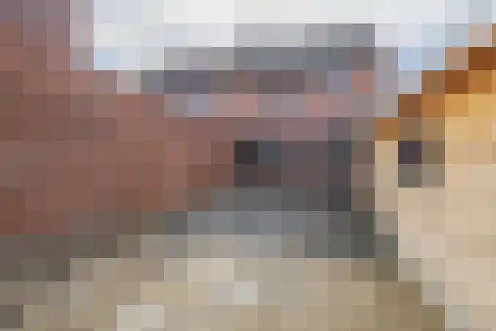 Monseigneur Theelenstraat 5 Beesel thumbnail 20