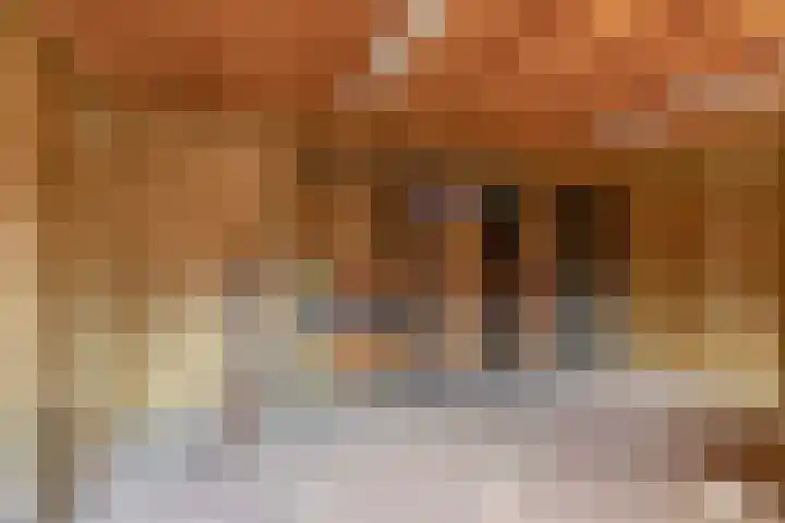 Monseigneur Theelenstraat 5 Beesel thumbnail 25