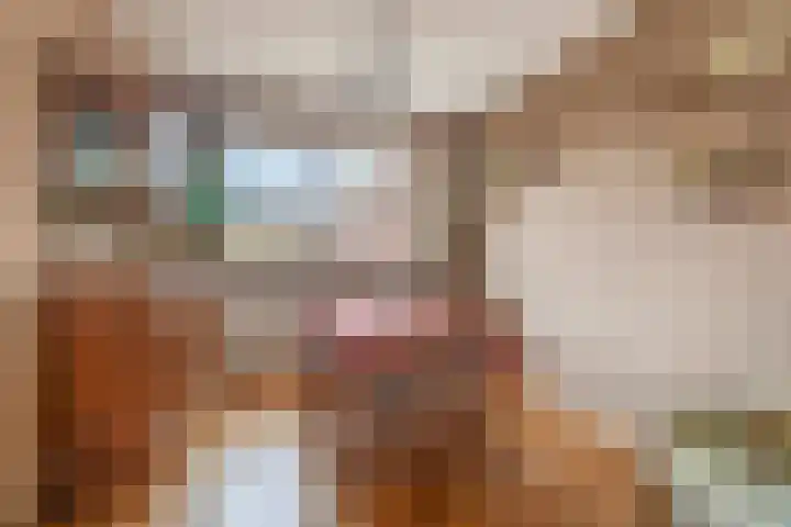 Monseigneur Theelenstraat 5 Beesel thumbnail 6