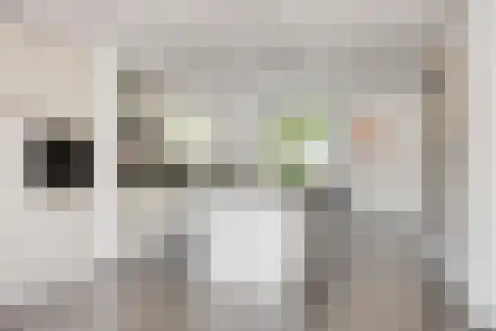 Monseigneur van den Boerpark 5 Oss thumbnail 10