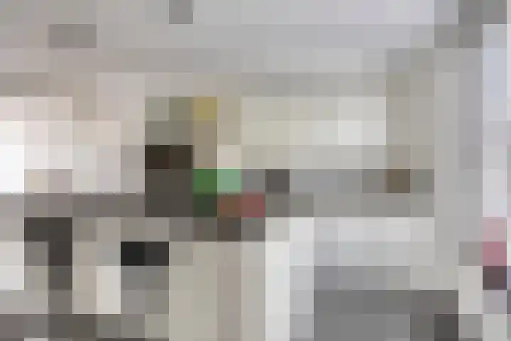 Monseigneur van den Boerpark 5 Oss thumbnail 11