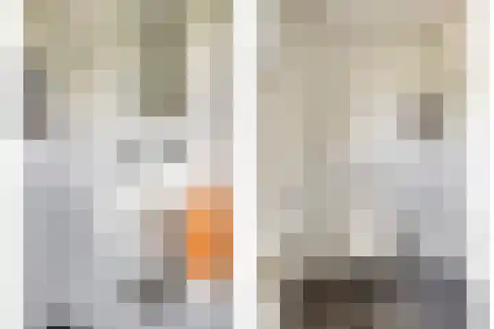 Monseigneur van den Boerpark 5 Oss thumbnail 12