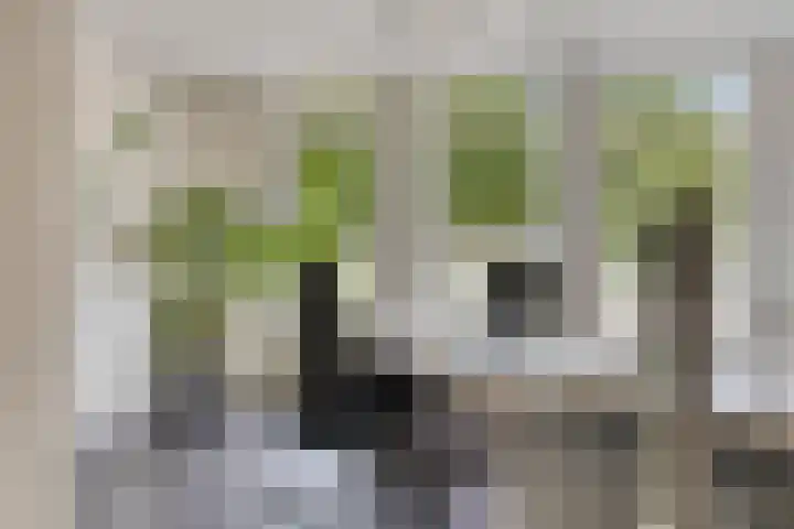 Monseigneur van den Boerpark 5 Oss thumbnail 14