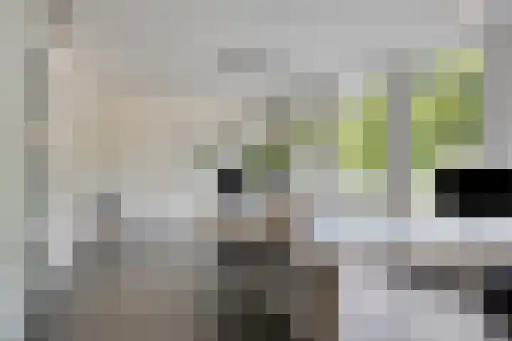 Monseigneur van den Boerpark 5 Oss thumbnail 15
