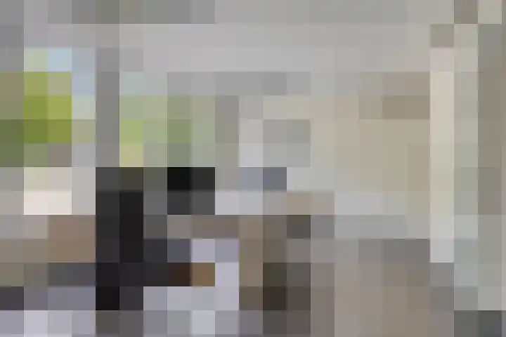 Monseigneur van den Boerpark 5 Oss thumbnail 16