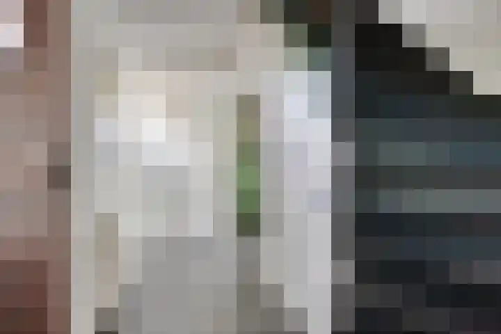 Monseigneur van den Boerpark 5 Oss thumbnail 20