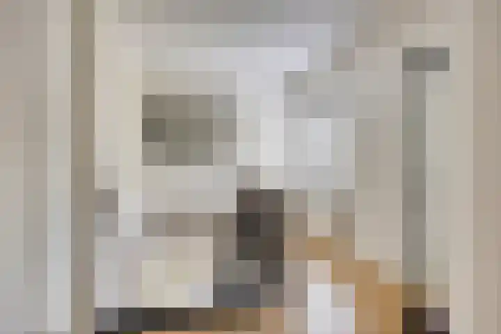 Monseigneur van den Boerpark 5 Oss thumbnail 21