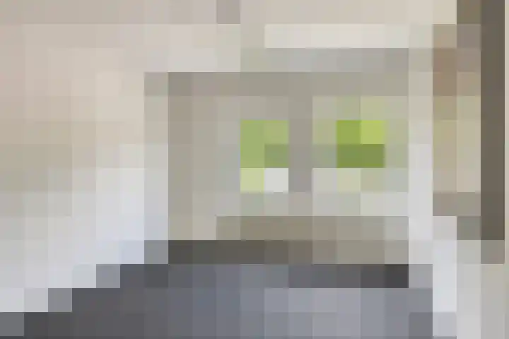 Monseigneur van den Boerpark 5 Oss thumbnail 36