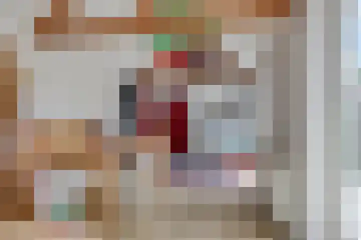Monseigneur van den Boerpark 5 Oss thumbnail 40