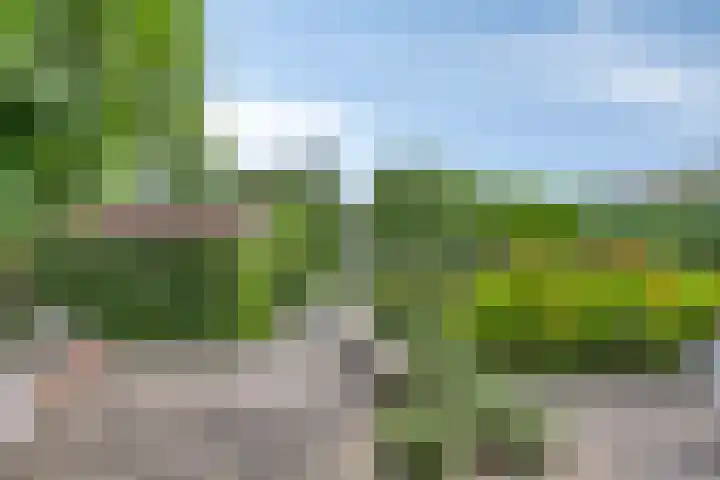 Monseigneur van den Boerpark 5 Oss thumbnail 46