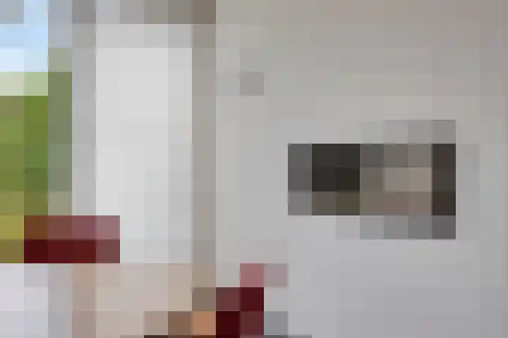 Monseigneur van den Boerpark 5 Oss thumbnail 8