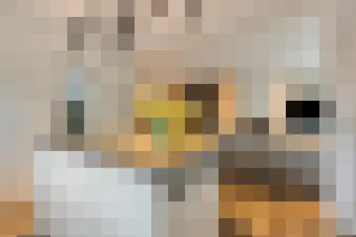 Monseigneur van den Hurklaan 10 a Heesch thumbnail 10