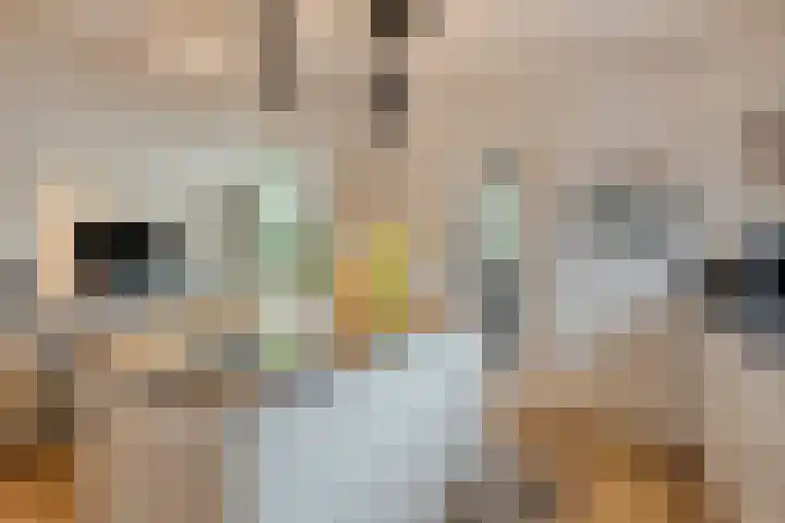 Monseigneur van den Hurklaan 10 a Heesch thumbnail 11