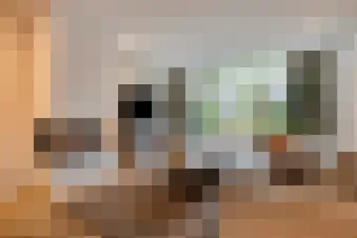 Monseigneur van den Hurklaan 10 a Heesch thumbnail 14
