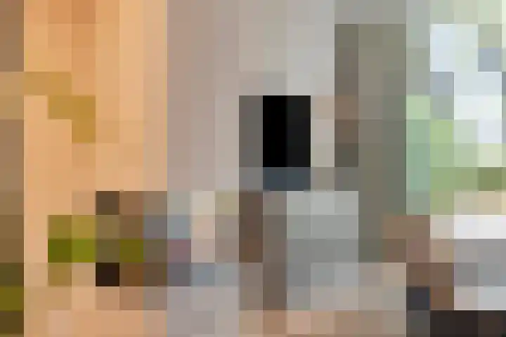 Monseigneur van den Hurklaan 10 a Heesch thumbnail 15