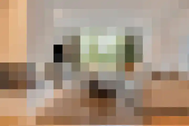 Monseigneur van den Hurklaan 10 a Heesch thumbnail 16