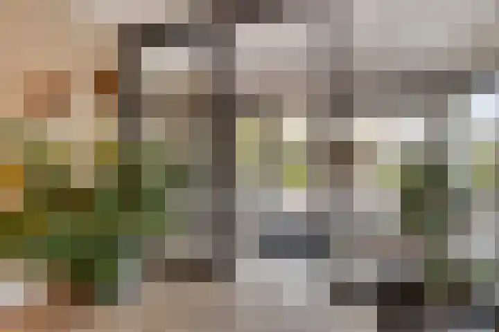 Monseigneur van den Hurklaan 10 a Heesch thumbnail 26